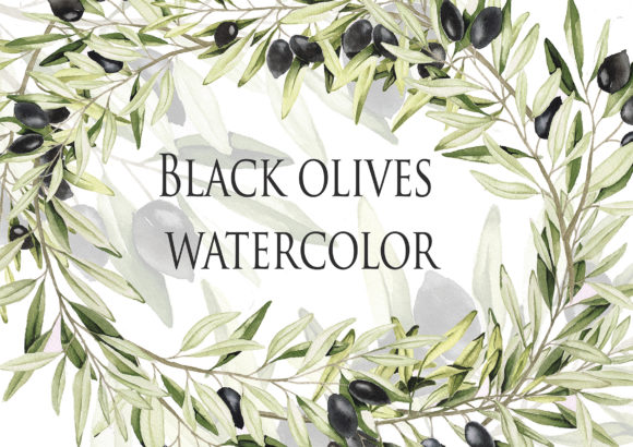 Black Olive Branches - Watercolor Illustrations