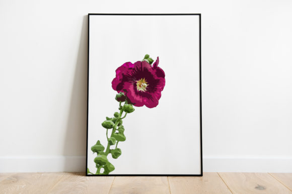 Hibiscus Red Flower Watercolor Illustrations