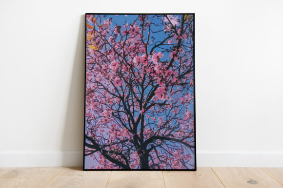 Sakura Flower Watercolor Embroidery Review