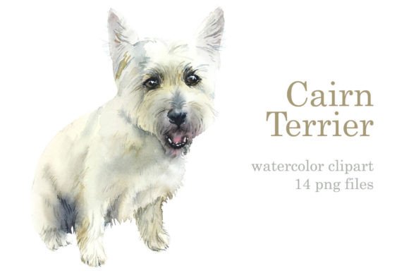 Watercolor Cairn Terriers Illustrations