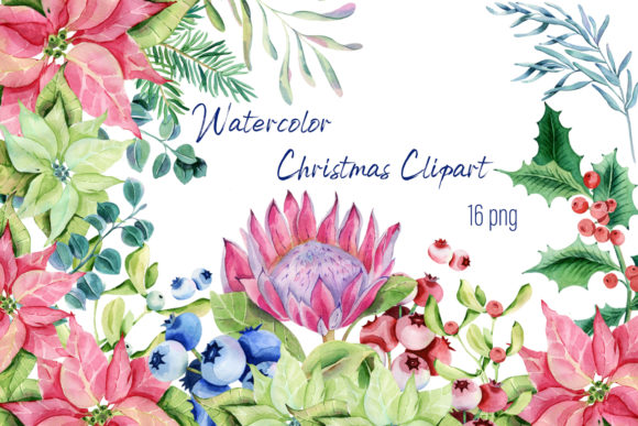 Watercolor ChristmasPlants Clipart & Illustrations