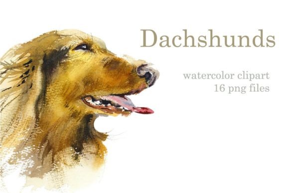 Watercolor Dachshund Illustrations for Brands