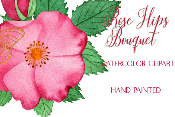Watercolor Pink RoseHips Bouquet ClipArt Review