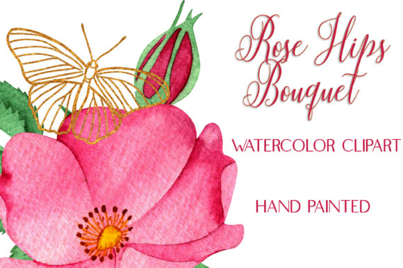 Watercolor Rose Hips Bouquet Clip Art & Illustrations