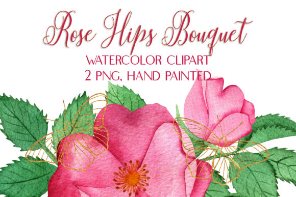 Watercolor Rosehips Bouquet Clip Art & Illustrations