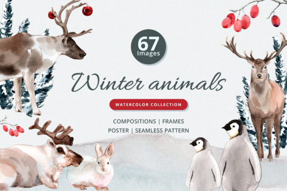 Winter Animals Watercolor Collection Illustrations