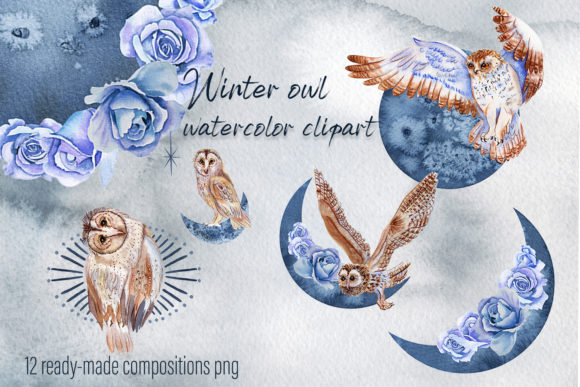 Winter Birds - Owl. Watercolor Set & Illustrations